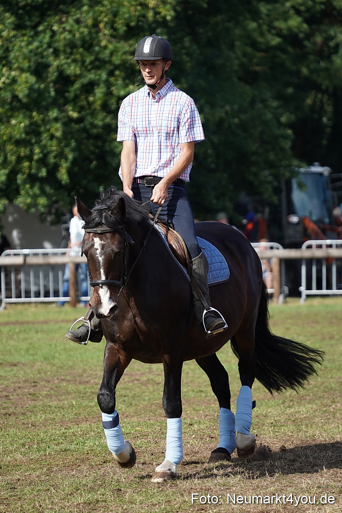 Pferde und Fohlenschau 2022 0175 
